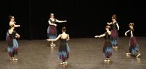 Gala de danse classique 14 ans à jeunes adultes 2026